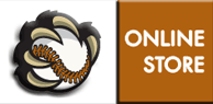 Online Store